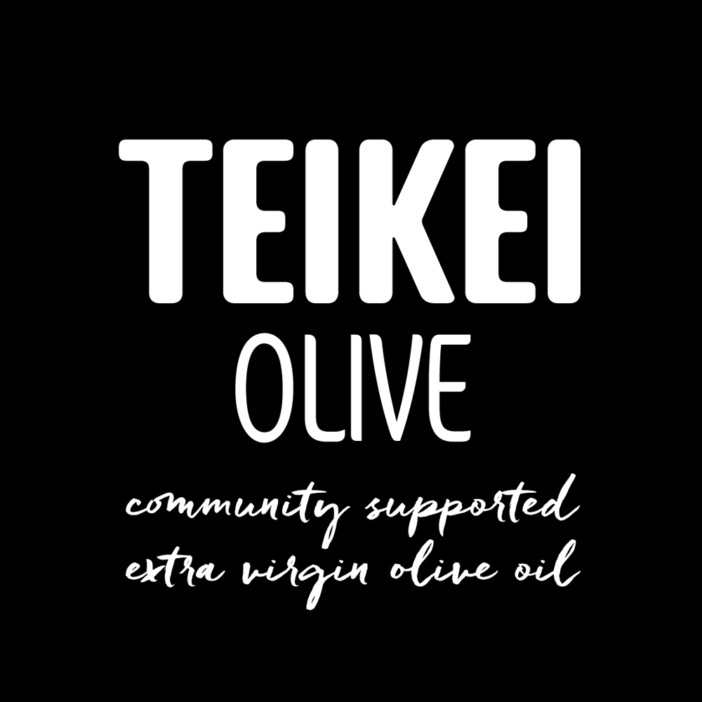 TEIKEI_OLIVE_E_Web_Neg